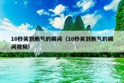 10秒笑到断气的瞬间（10秒笑到断气的瞬间视频）