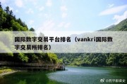 国际数字交易平台排名（vankri国际数字交易所排名）