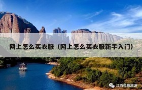 网上怎么买衣服（网上怎么买衣服新手入门）