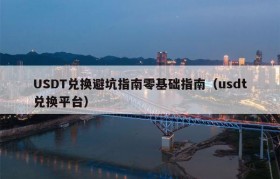 USDT兑换避坑指南零基础指南（usdt兑换平台）