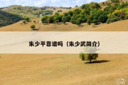 朱少平靠谱吗（朱少武简介）