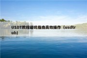 USDT教程避坑指南高效操作（usdtrub）