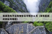 新闻发布平台有哪些名字呢怎么写（发布新闻的网站有哪些）