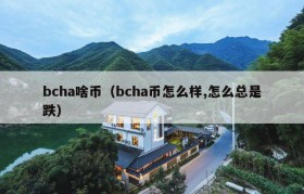 bcha啥币（bcha币怎么样,怎么总是跌）