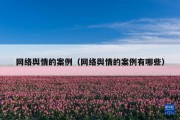 网络舆情的案例（网络舆情的案例有哪些）