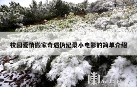 校园爱情搬家奇遇伪纪录小电影的简单介绍
