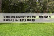 亲情感动光影实验3分钟小电影（亲情感动光影实验3分钟小电影免费观看）