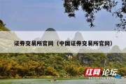 证券交易所官网（中国证券交易所官网）