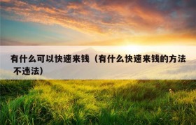 有什么可以快速来钱（有什么快速来钱的方法 不违法）