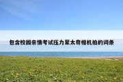 包含校园亲情考试压力蒙太奇相机拍的词条