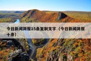今日新闻简报15条复制文字（今日新闻简报十条）