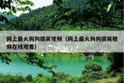 网上最火狗狗搞笑视频（网上最火狗狗搞笑视频在线观看）