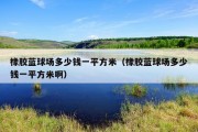 橡胶蓝球场多少钱一平方米（橡胶蓝球场多少钱一平方米啊）
