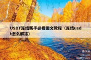 USDT冻结新手必看图文教程（冻结usdt怎么解冻）