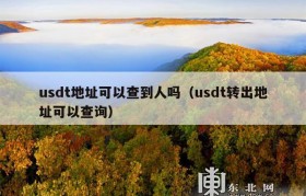 usdt地址可以查到人吗（usdt转出地址可以查询）