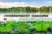 15秒短视频素材烟花农村（实拍烟花视频素材）