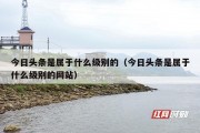 今日头条是属于什么级别的（今日头条是属于什么级别的网站）
