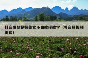 抖音爆款视频美食小白教程教学（抖音短视频美食）