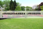 少数民族运动会新闻稿范文（少数名族运动会）