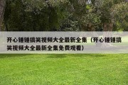 开心锤锤搞笑视频大全最新全集（开心锤锤搞笑视频大全最新全集免费观看）