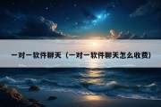 一对一软件聊天（一对一软件聊天怎么收费）