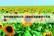如何快速借到10万（怎样能快速借到十万急用）
