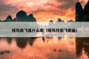 候鸟南飞是什么歌（候鸟往南飞歌曲）