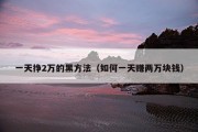 一天挣2万的黑方法（如何一天赚两万块钱）