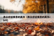 表示舒适惬意的英文（表示舒适惬意的英文chill）