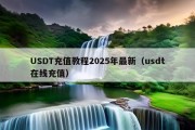 USDT充值教程2025年最新（usdt在线充值）