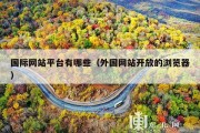 国际网站平台有哪些（外国网站开放的浏览器）