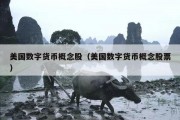美国数字货币概念股（美国数字货币概念股票）