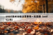 USDT技术分析注意事项一文搞懂（usdt工作）