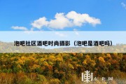 泡吧社区酒吧时尚摄影（泡吧是酒吧吗）