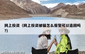 网上投资（网上投资被骗怎么报警可以追回吗?）