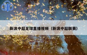 新浪中超足球直播视频（新浪中超联赛）