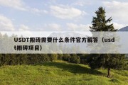 USDT搬砖需要什么条件官方解答（usdt搬砖项目）
