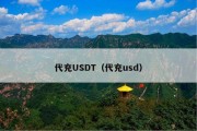代充USDT（代充usd）