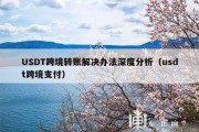 USDT跨境转账解决办法深度分析（usdt跨境支付）