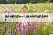 国内如何购买usdt（国内如何购买虚拟币）