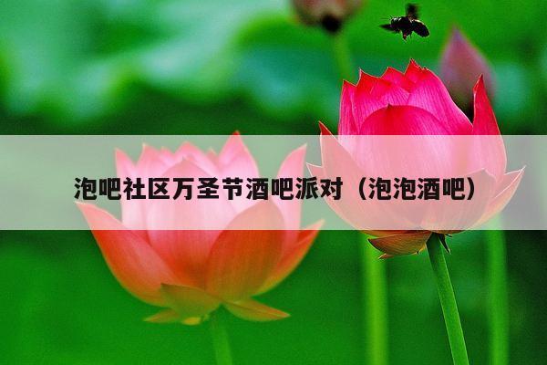 泡吧社区万圣节酒吧派对（泡泡酒吧）