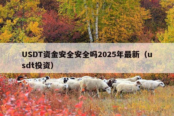 USDT资金安全安全吗2025年最新（usdt投资）