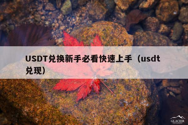 USDT兑换新手必看快速上手（usdt 兑现）