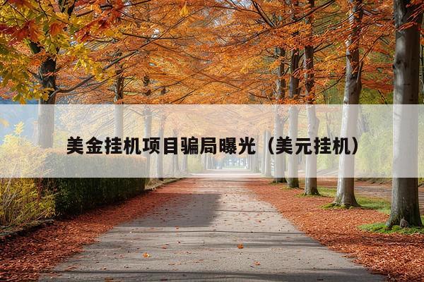 美金挂机项目骗局曝光（美元挂机）