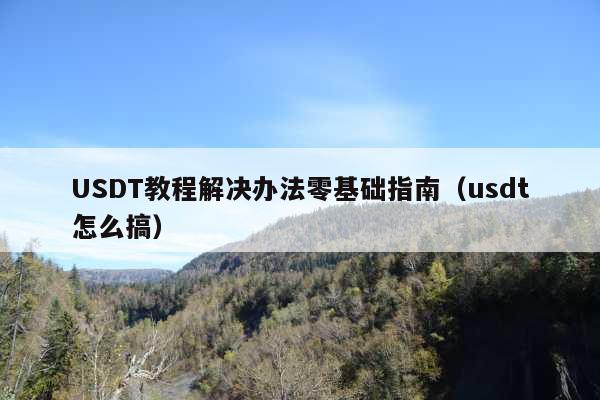 USDT教程解决办法零基础指南（usdt怎么搞）