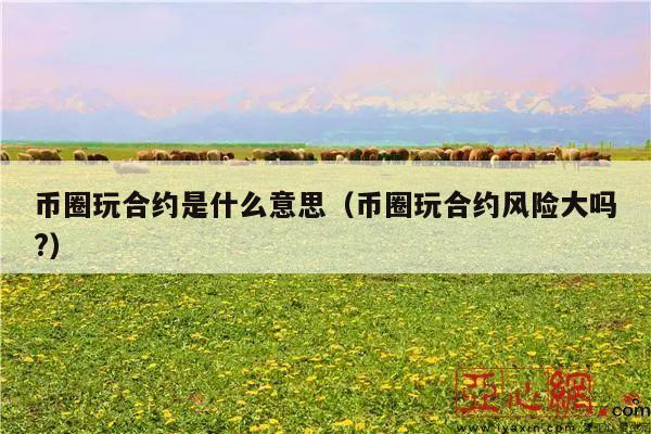 币圈玩合约是什么意思（币圈玩合约风险大吗?）