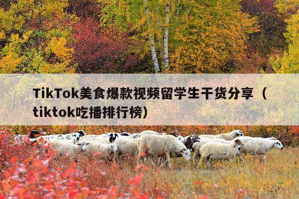 TikTok美食爆款视频留学生干货分享（tiktok吃播排行榜）