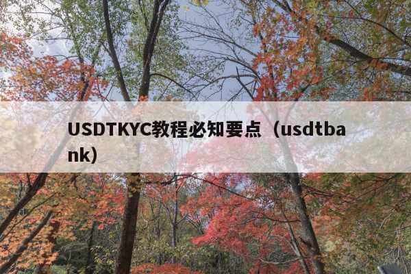 USDTKYC教程必知要点（usdtbank）