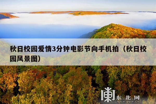 秋日校园爱情3分钟电影节向手机拍(秋日校园风景图)
