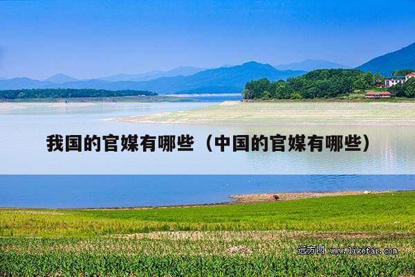 我国的官媒有哪些（中国的官媒有哪些）